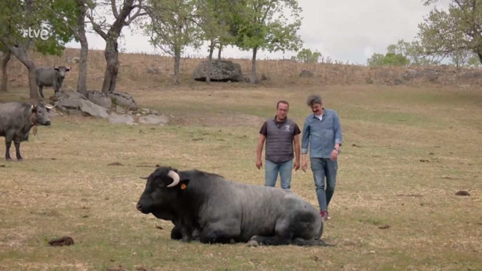 Ahora o nunca - Programa 72 - ver ahora