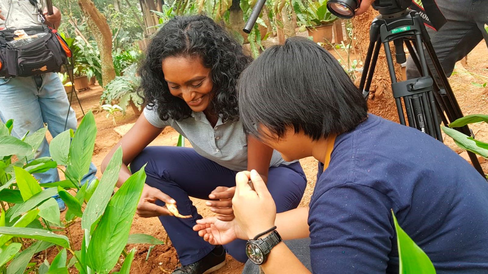 Naturaleza comestible - Episodio 6: Yakarta - ver ahora