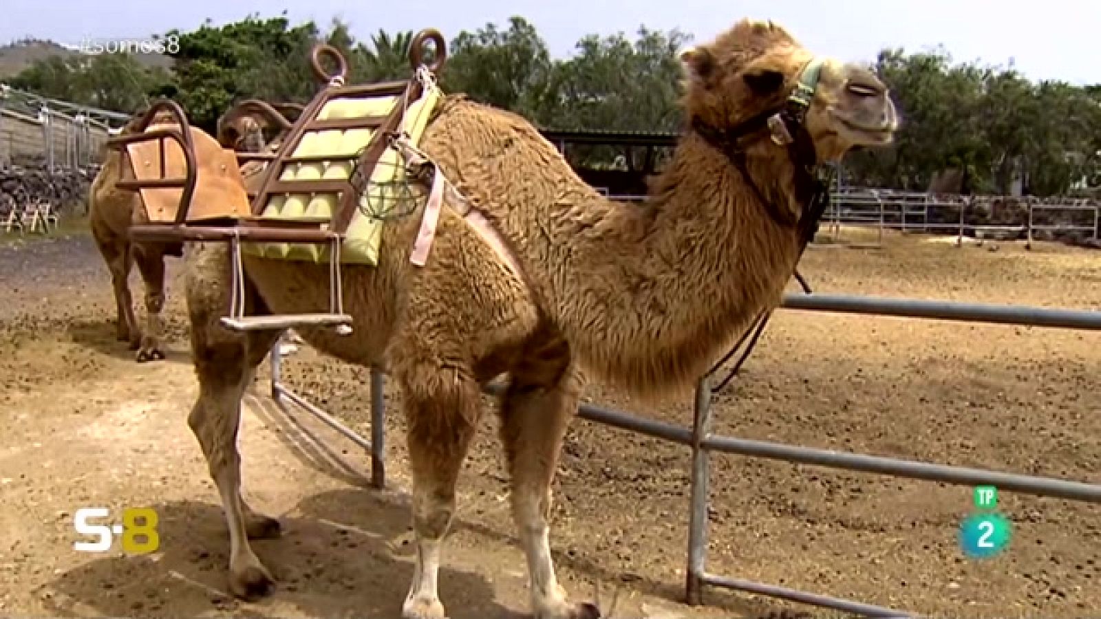 Somos 8 - 03/05/2023