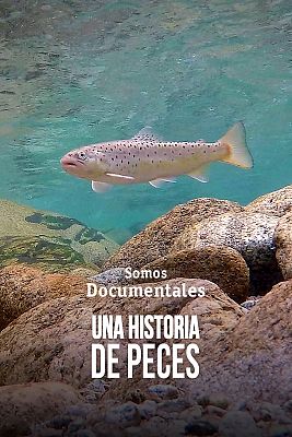 Somos Documentales - Una historia de peces