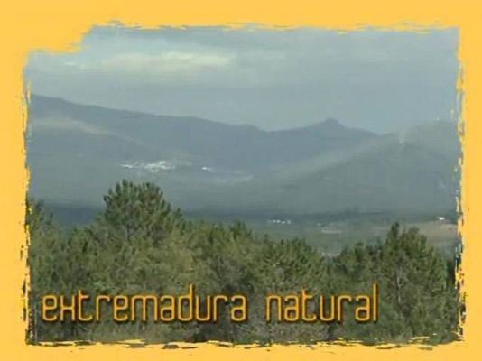 Natural - Donde no soplan aires renovables