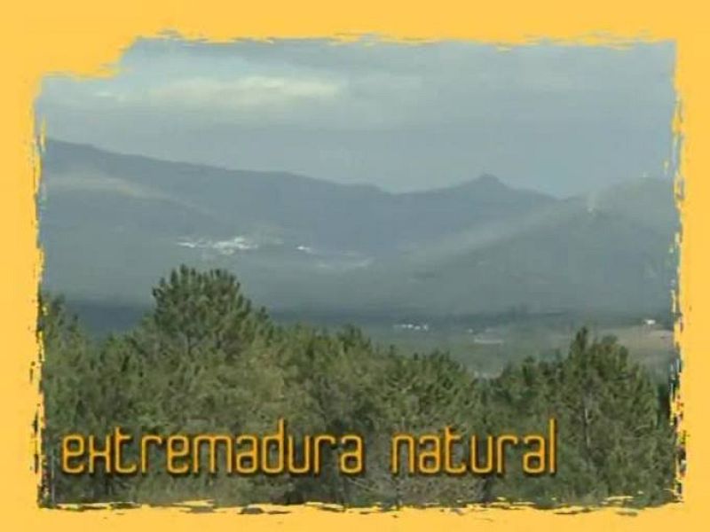  NATURAL: donde aún no soplan los aires renovables (08/02/10)