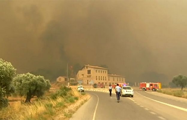  - Comisión sobre el incendio de Horta
