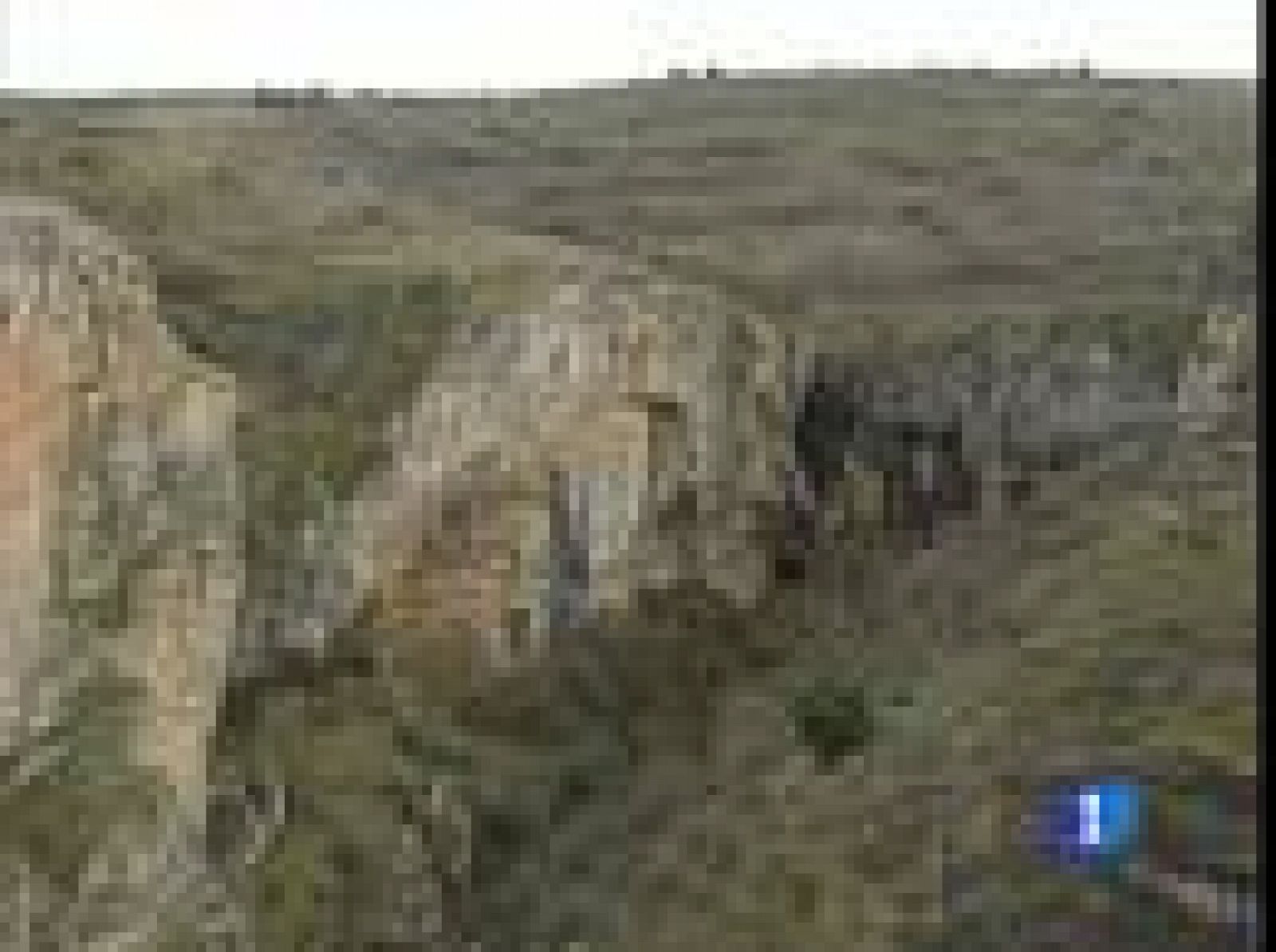 Se cumplen treinta años de la muerte de Félix Rodríguez de la Fuente | Ver