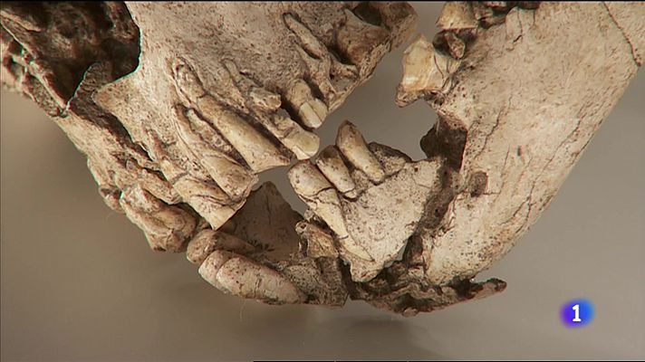 L'informatiu - Comunitat Valenciana - L'Informatiu de la Comunitat Valenciana 1 - 08/05/23