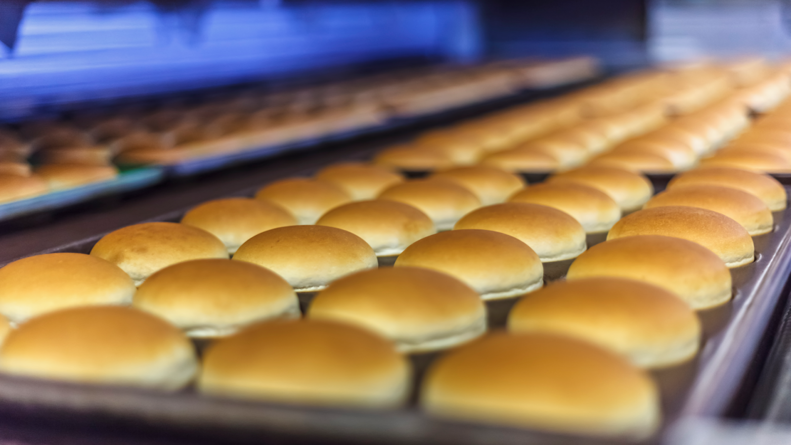 ¿Qué llevan realmente los panes industriales?