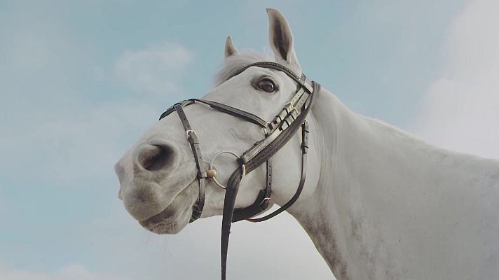 Programa FEI Ride. Episodio 9