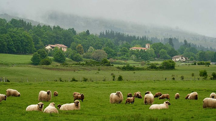 Lluvias en el extremo norte peninsular y Baleares, mientras las temperaturas siguen altas