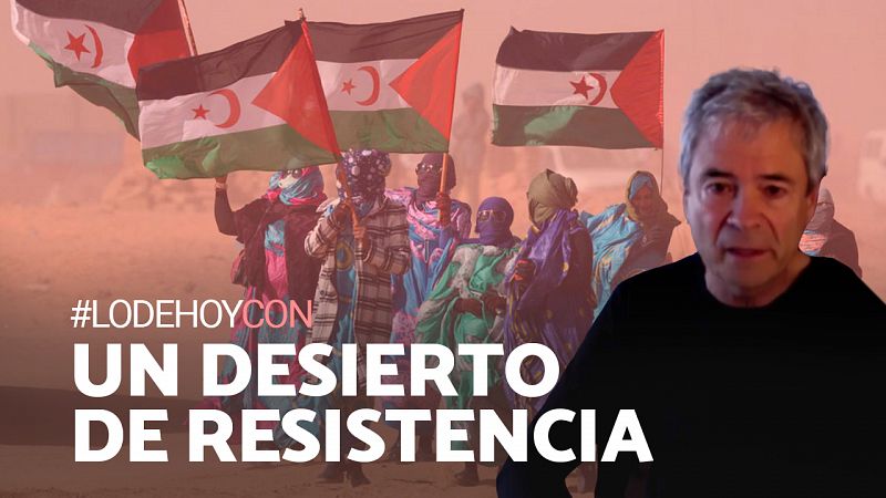 Frente Polisario, medio siglo en lucha por la independencia de Marruecos