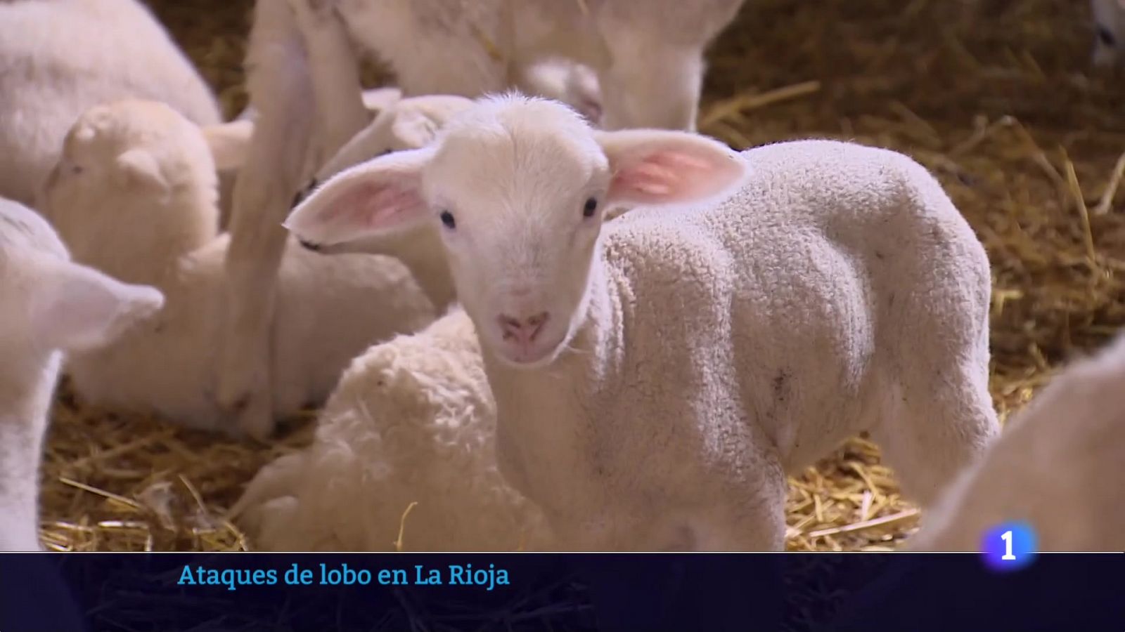 Informativo Telerioja  - 10/05/23 - RTVE.es