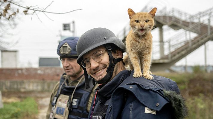 Telediario 1 - Al menos 11 periodistas han muerto en Ucrania desde que comenzó la invasión rusa