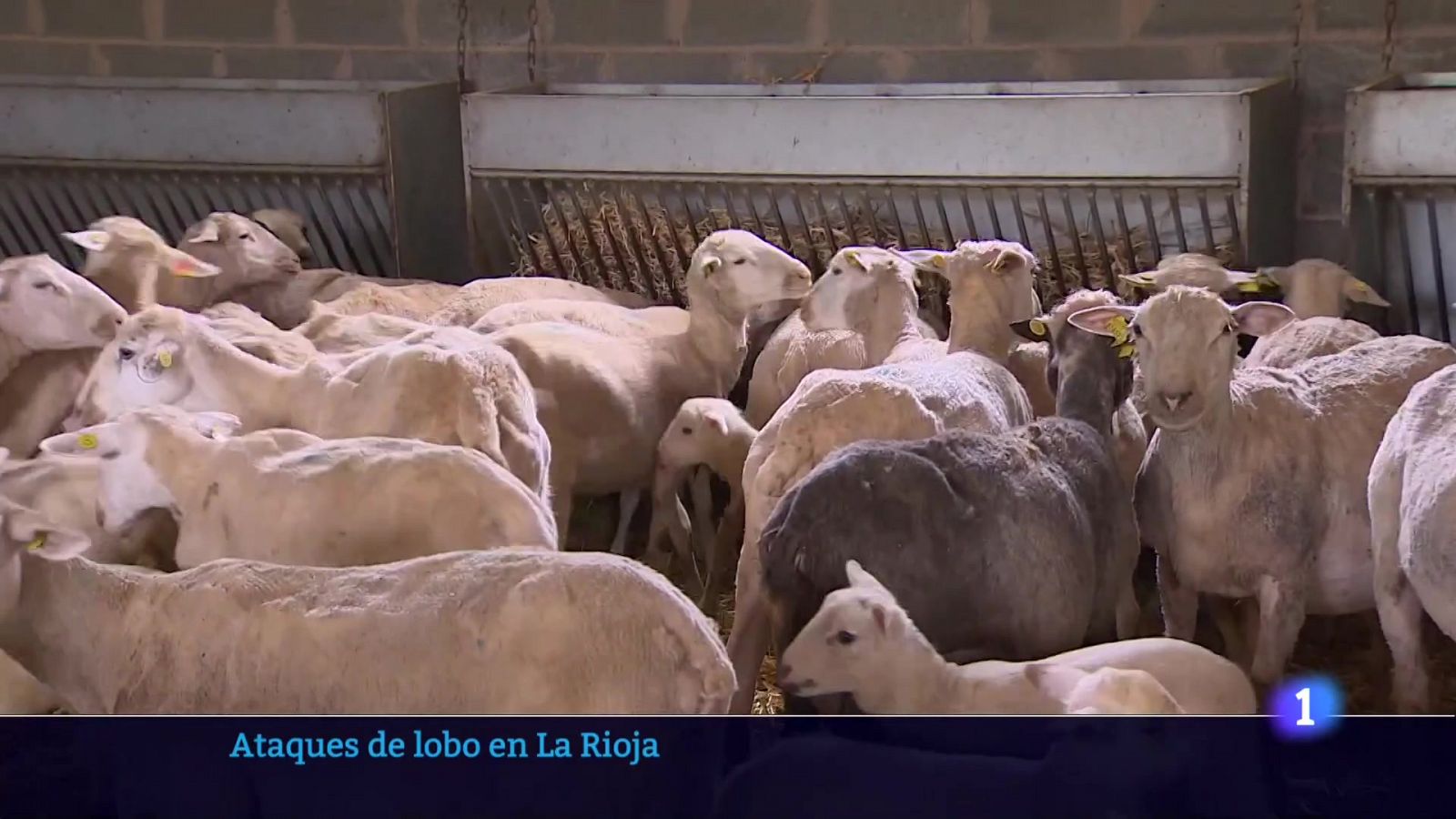 Informativo Telerioja 2 - 10/05/23 - RTVE.es