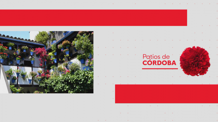 Noticias Andalucía - Poco relevo generacional en Patios