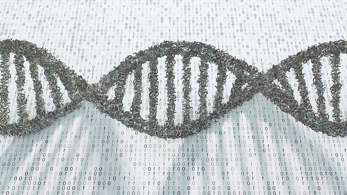 Telediario 2 - Publicado el primer pangenoma humano que permitirá conocer mejor nuestra especie