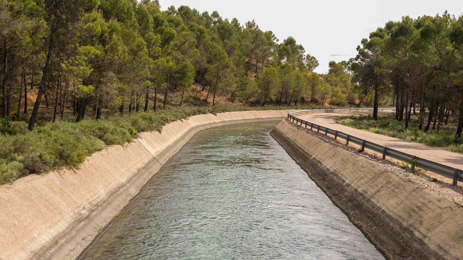 Telediario - 8 horas - 11/05/23 - Lengua de signos - ver ahora