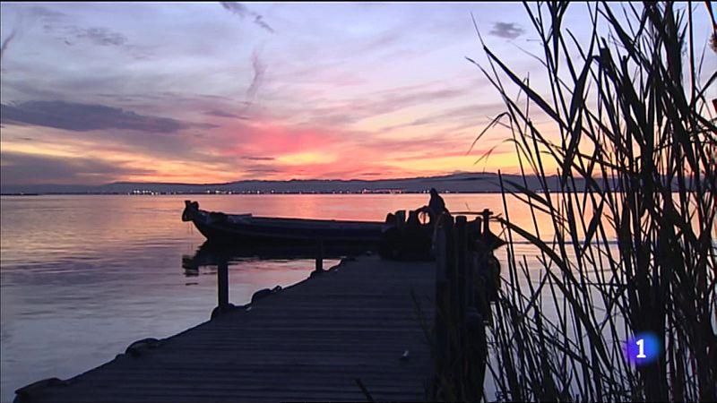 Més flamencs en l'Albufera per la sequera en altres aiguamolls