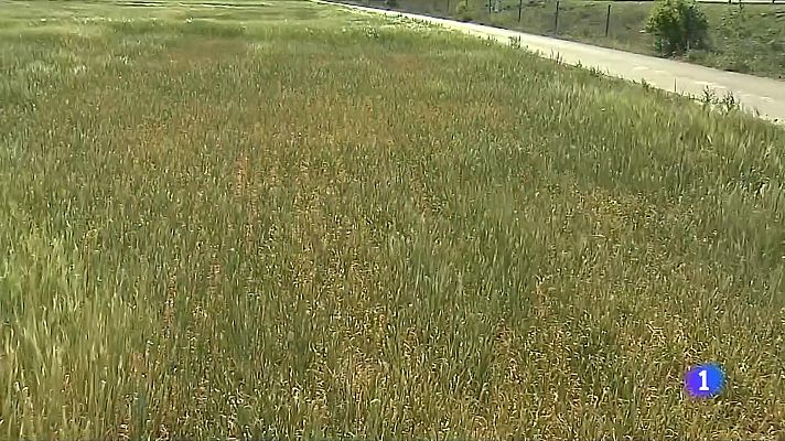 L'Informatiu - L'Informatiu - 11/05/2023