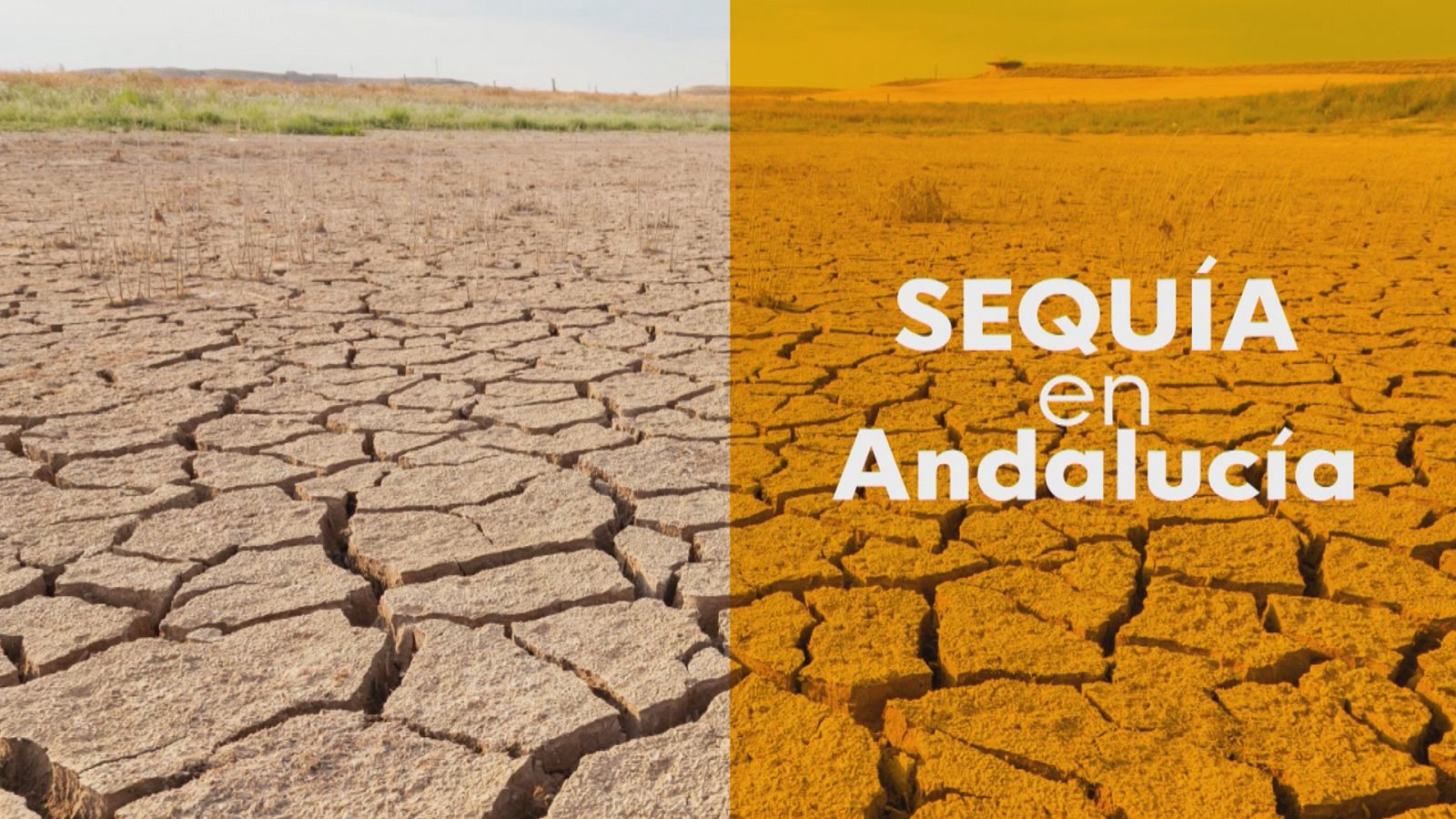 Sequía, problema económico grave - Ver ahora