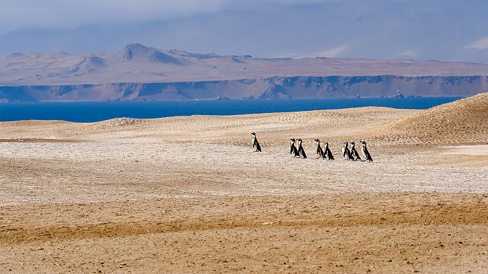 La costa salvaje de Perú