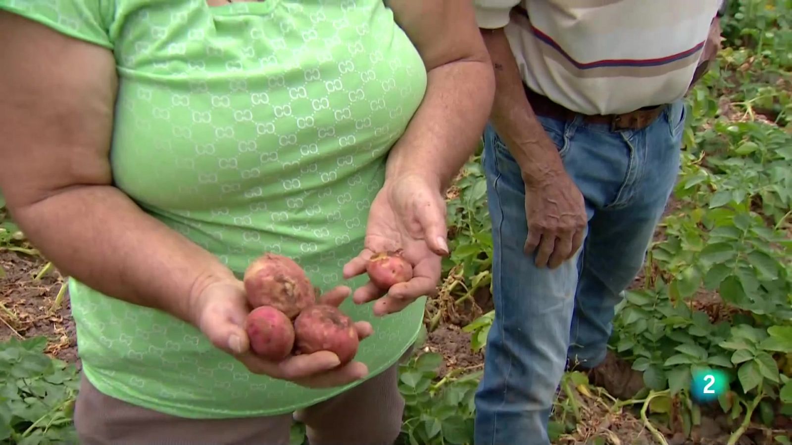 Telecanarias 2 - 11/05/2023 | Ver