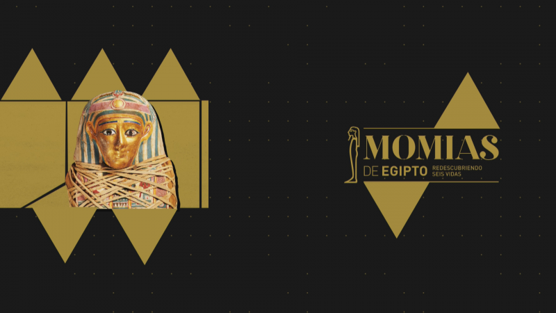 Exposición "Momias de Egipto" - Ver ahora