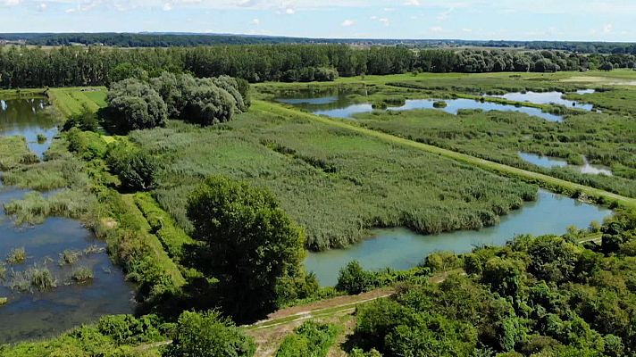 Al borde del abismo, 3