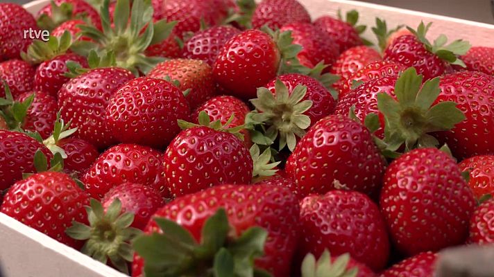 Aquí la Tierra - Aquí la Tierra - 12/05/23