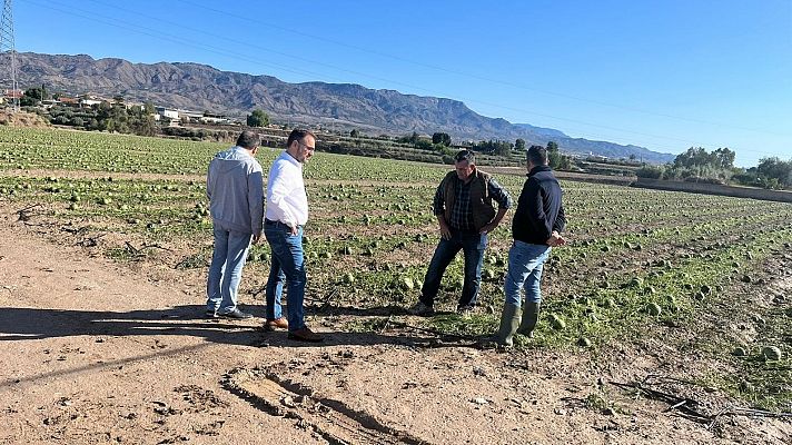 Una fuerte granizada daña cultivos en Murcia