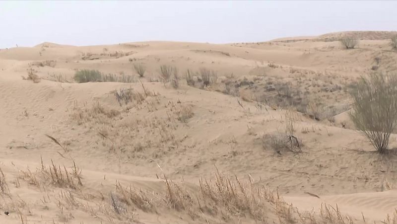 La desertización afecta a un 27% del territorio de China