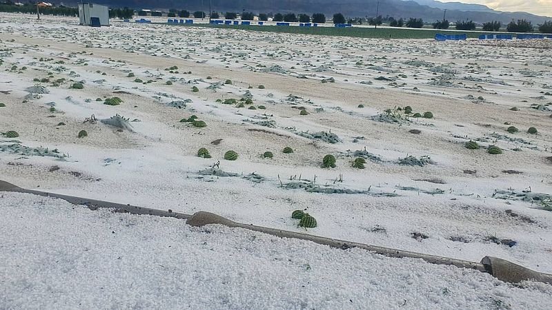 El granizo echa a perder el cultivo de sandías en Lorca