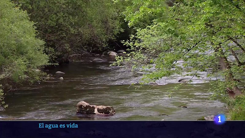 Telerioja en 2' - 15/05/23 - Ver ahora