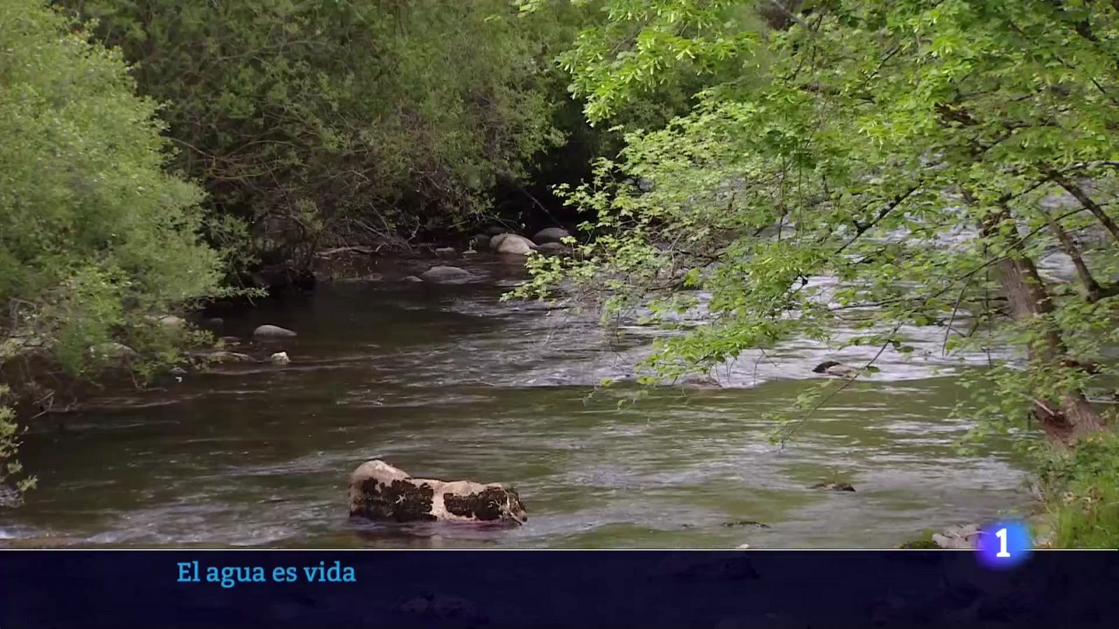 El tiempo en La Rioja - 15/05/23 - RTVE.es