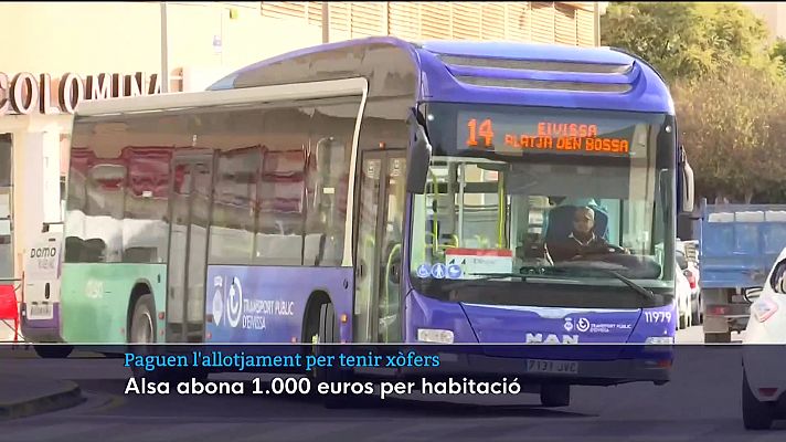 Informatiu Balear - Paguen l'allotjament per tenir xòfers a Eivissa.