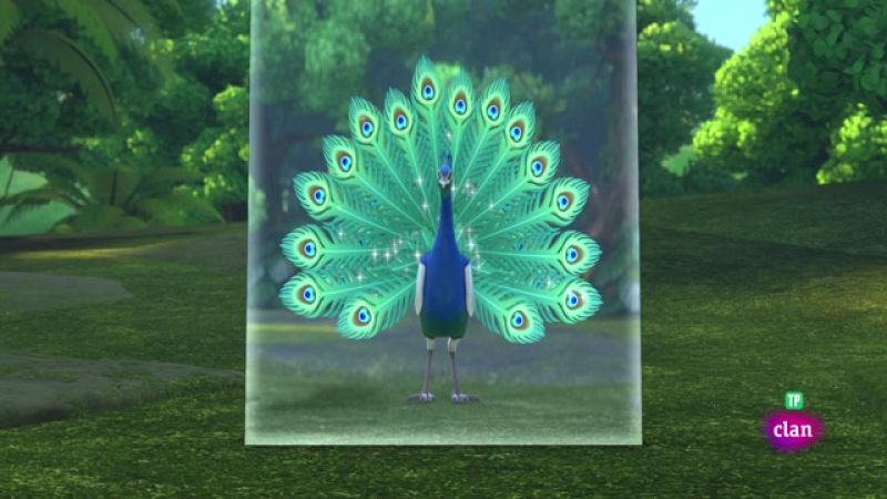 Misión - rescatar pavo real azul