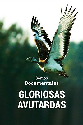 Somos Documentales - Gloriosas avutardas
