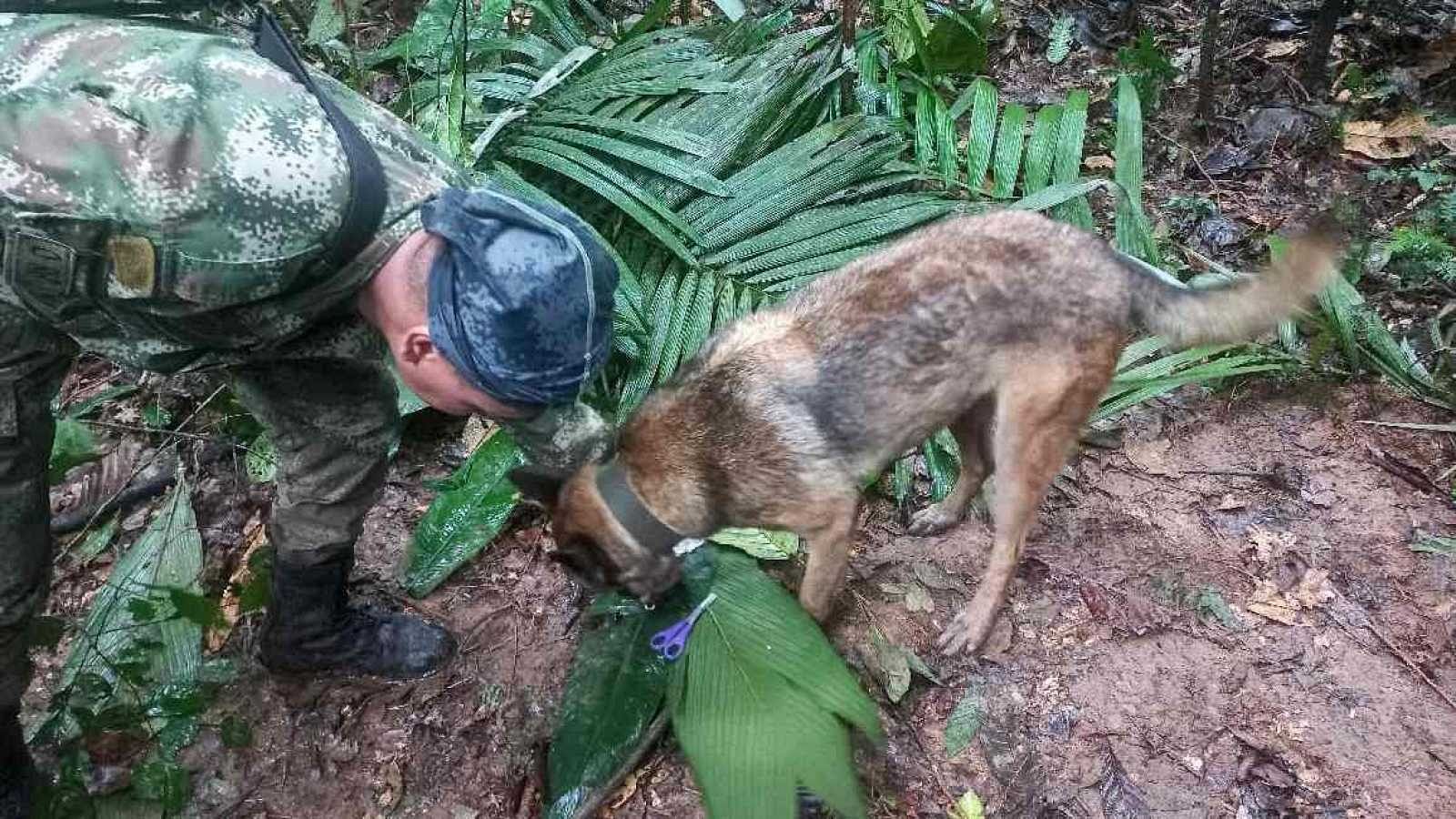 Hallan vivos a tres niños y un bebé tras 17 días desaparecidos en la selva colombiana