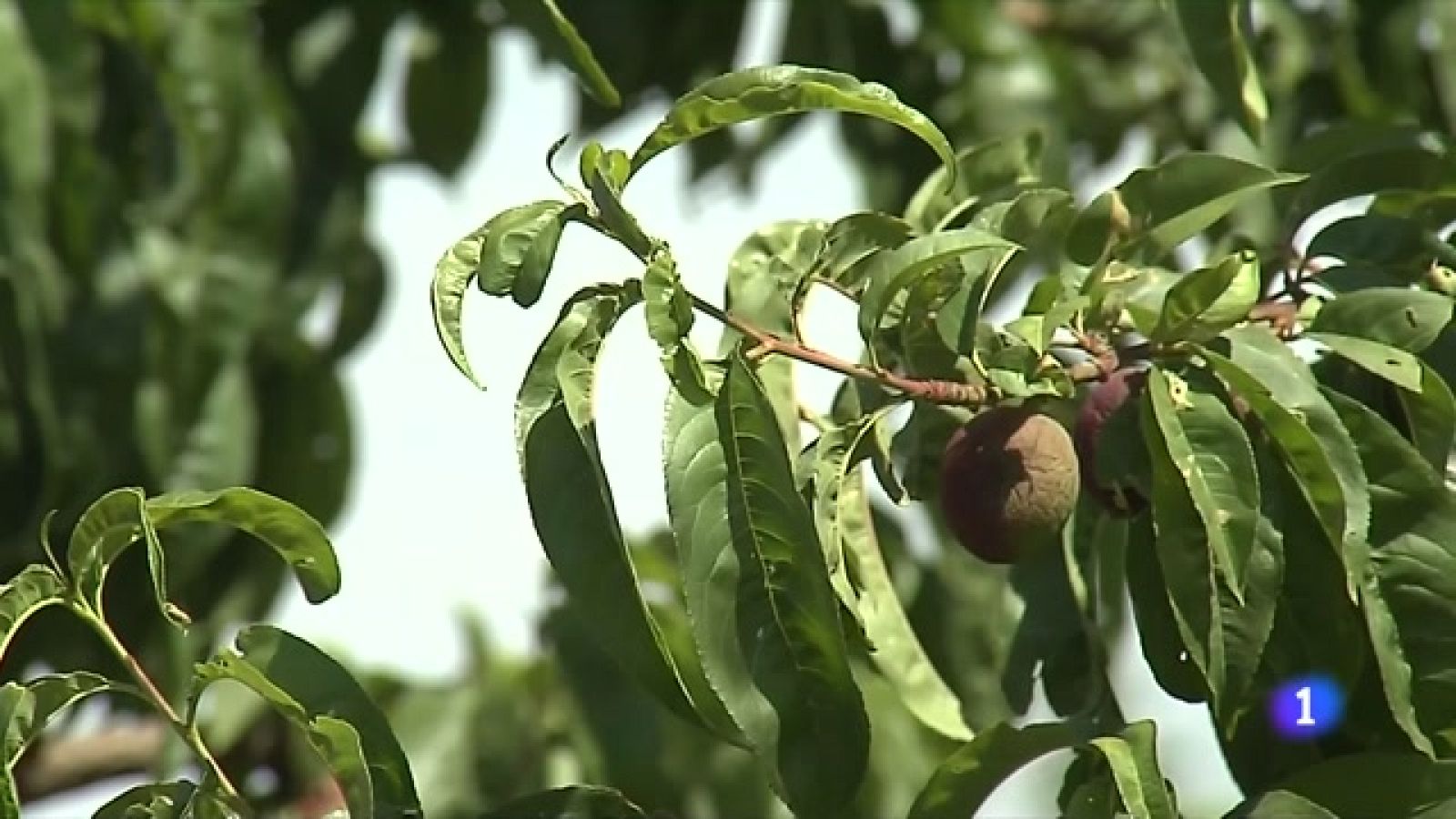 L'Informatiu - 18/05/2023 - veure ara