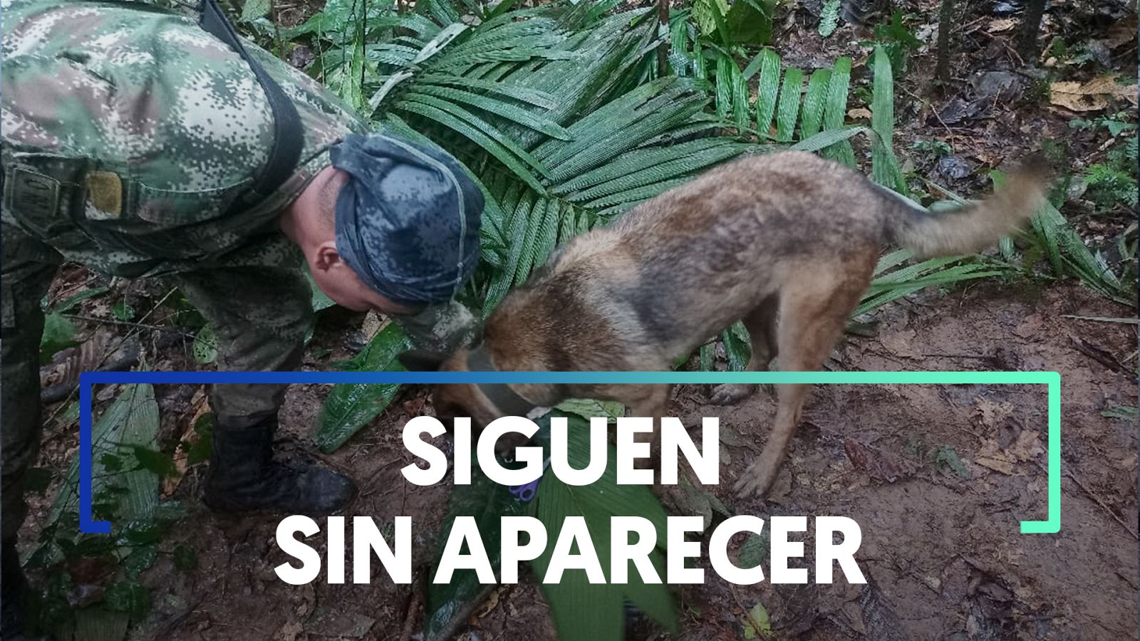 Colombia: Continúa la búsqueda de los niños desaparecidos en la selva hace 17 días