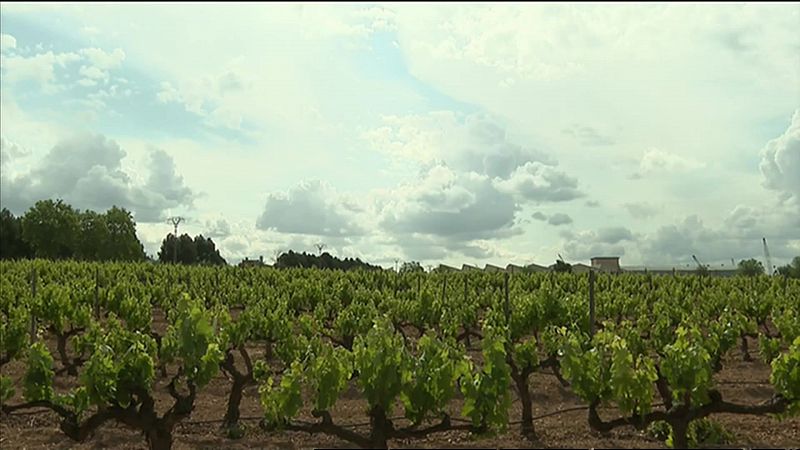 L'Informatiu de la Comunitat Valenciana 2 - 18/05/23 VER AHORA