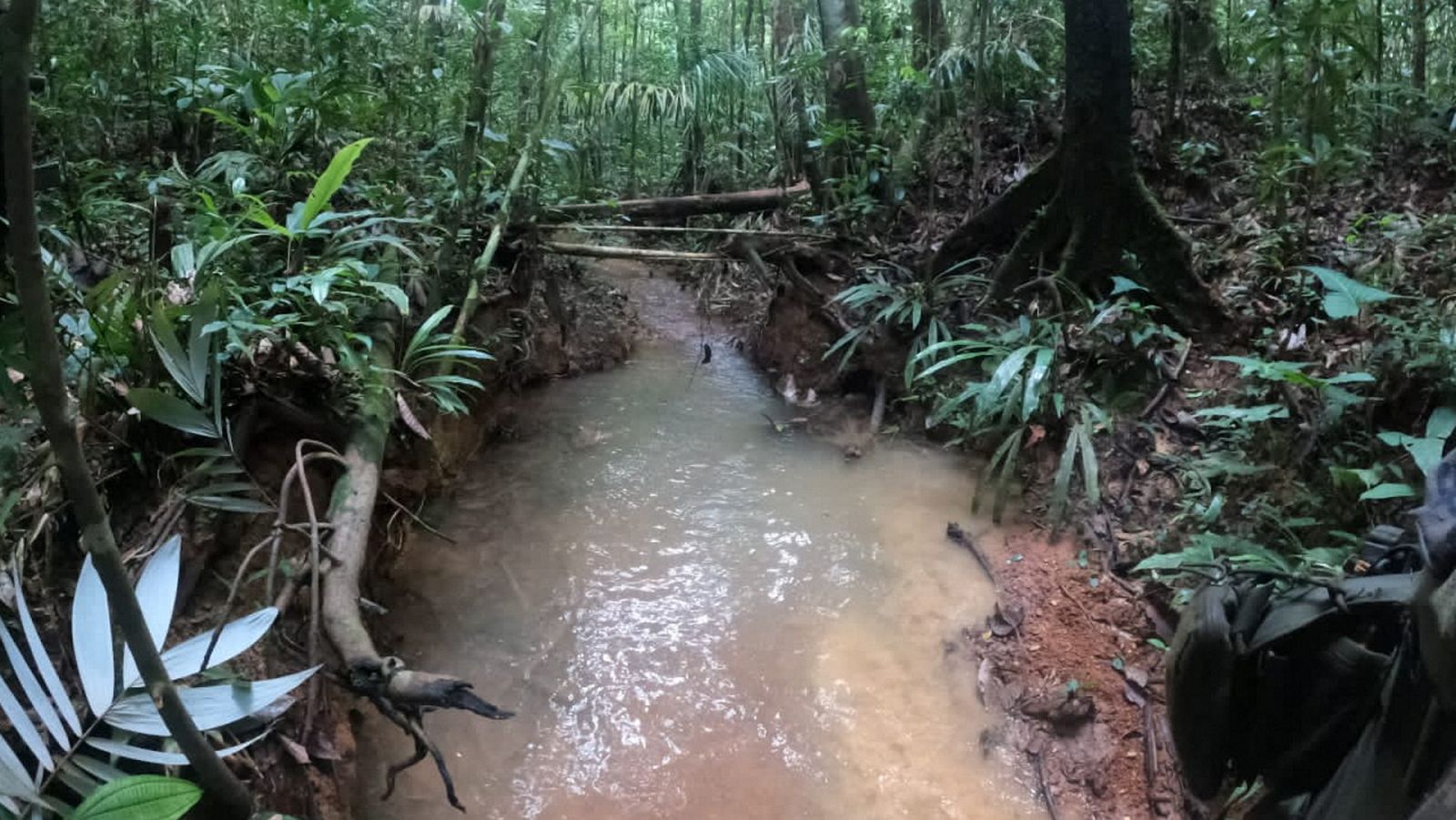 Telediario Internacional - 18/05/23 - ver ahora