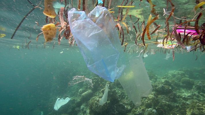Para todos La 2 - Para todos La2 - 13/05/23 - Lengua de signos