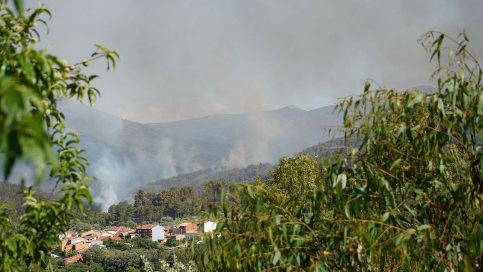 Alcaldesa de Torrecilla de los Ángeles sobre el incendio en Las Hurdes: "Todos los años nos toca" - Vwer ahora