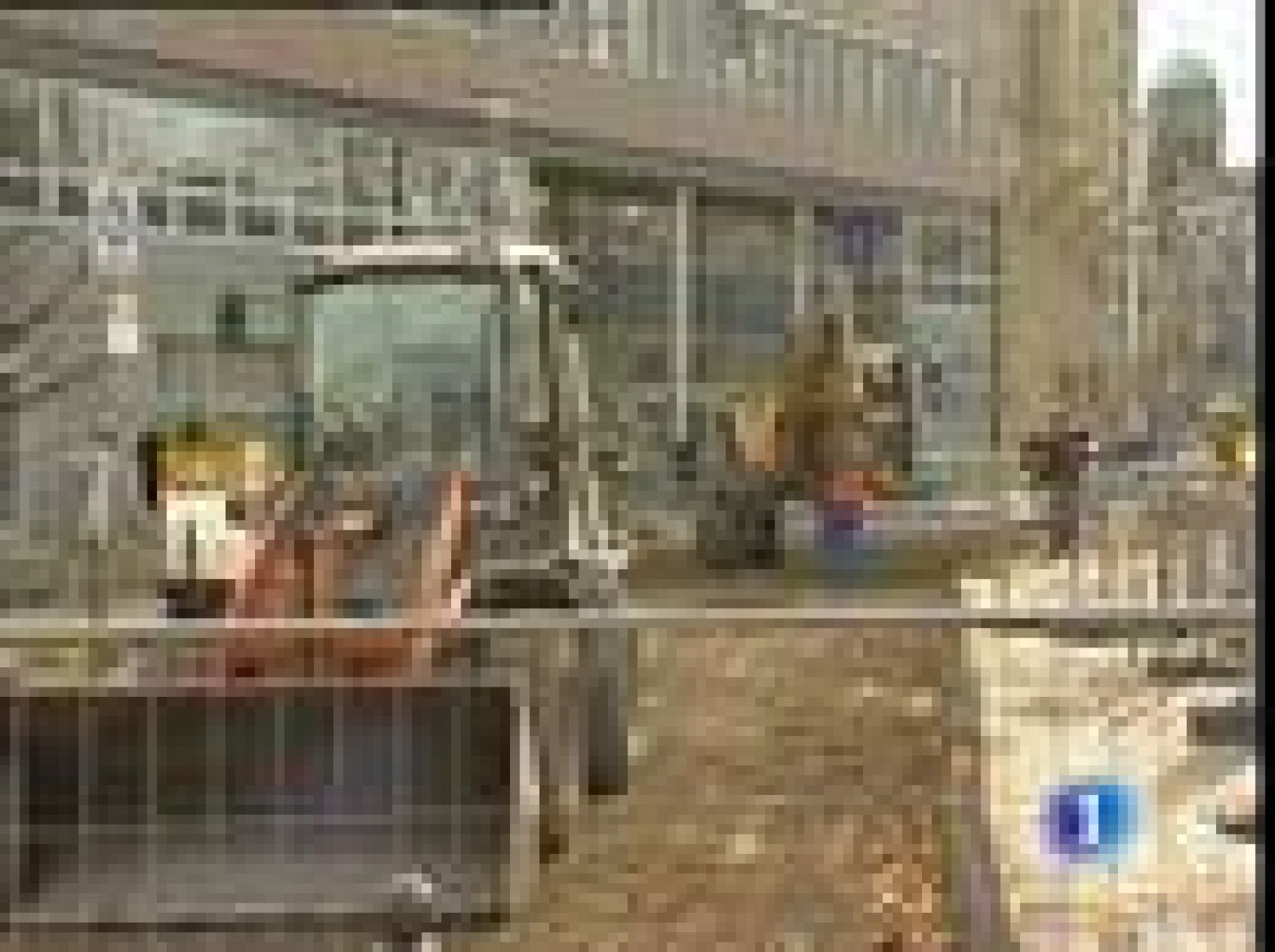 El gobierno alemán tendrá que aumentar las pagas sociales de los parados de larga duración | Ver