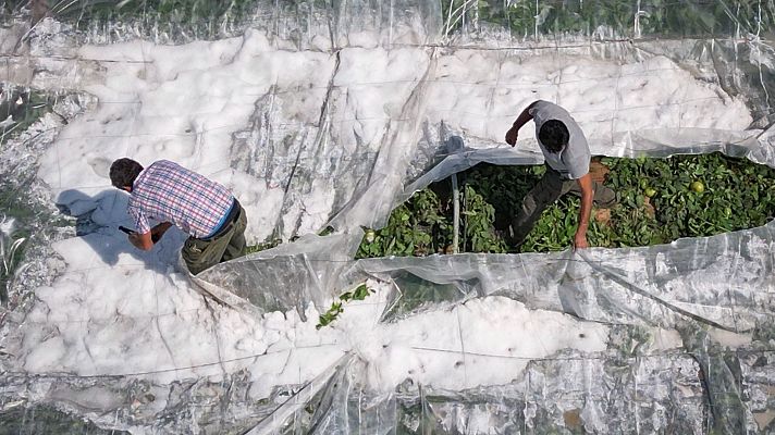 Telediario 1 - Una fuerte granizada arrasa cultivos en Andalucia