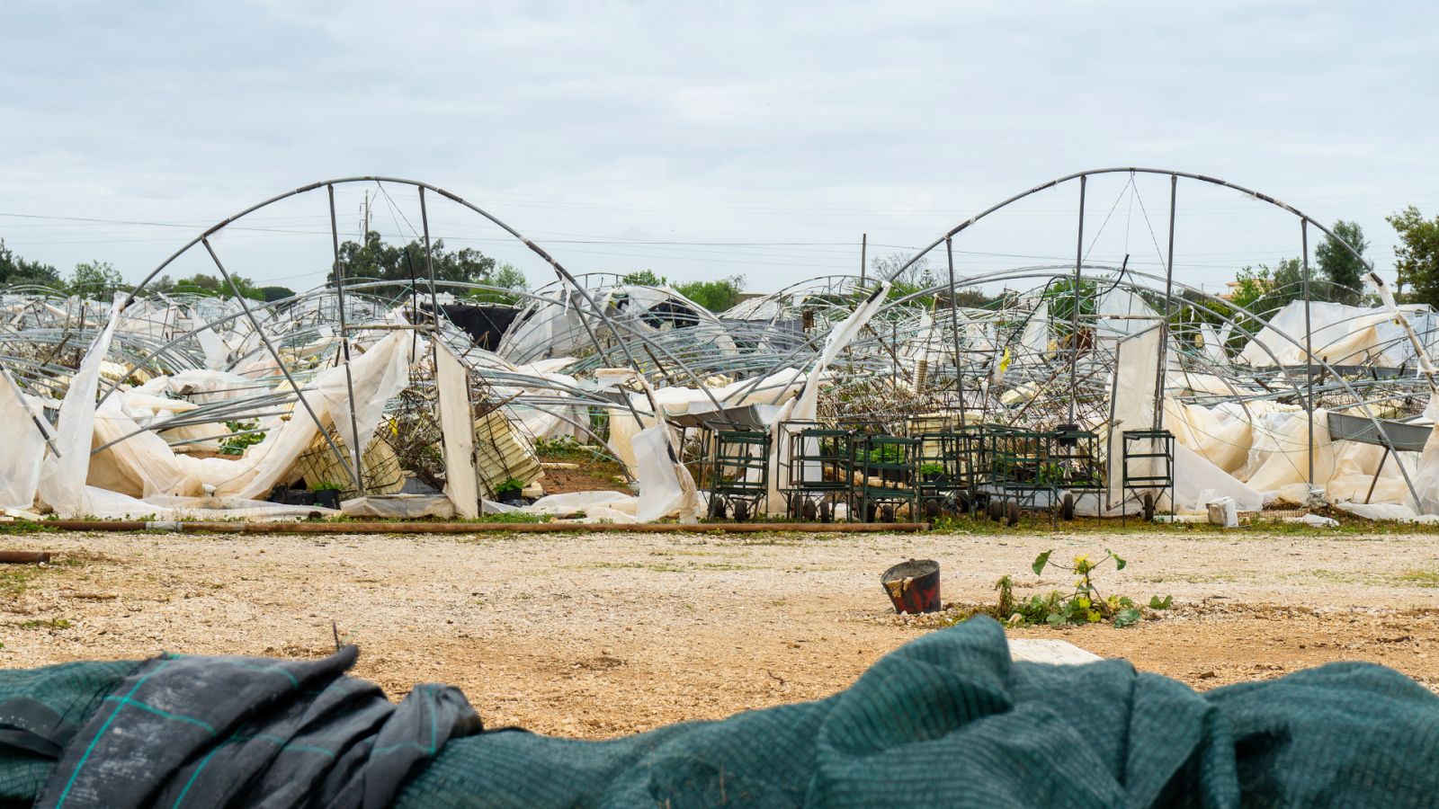 Invernaderos dañados por el granizo - Ver ahora