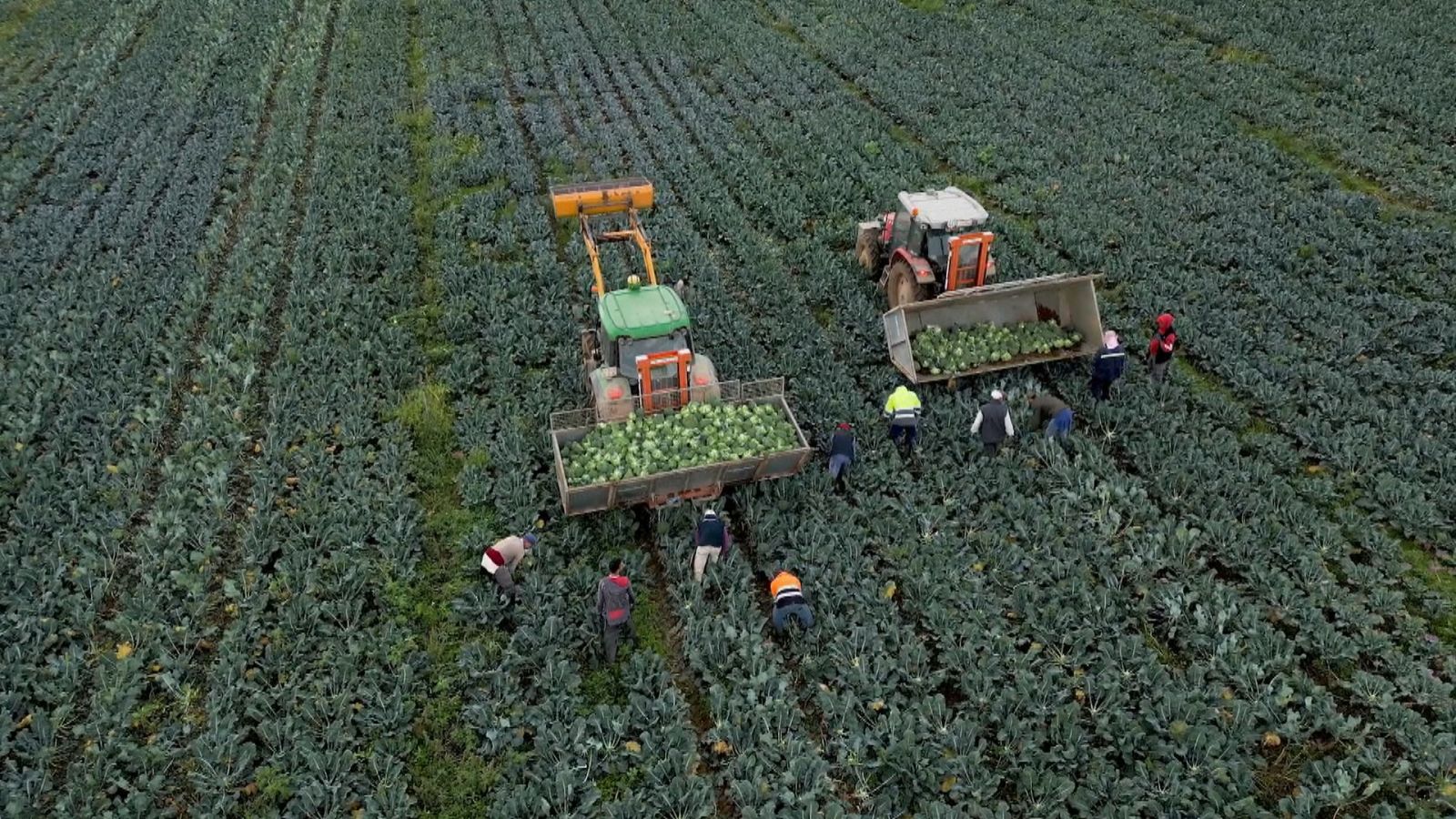 Agrosfera - 20/05/23 - ver ahora