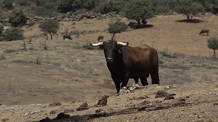 Tendido cero - Tendido cero - 20/05/23