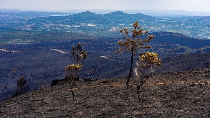 Telediario Fin de Semana - Telediario 2 en 4' - 21/05/23