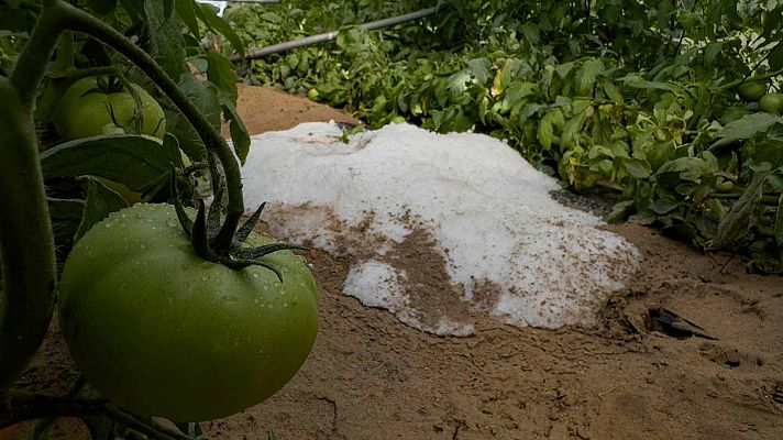 Lluvia intensa en Levante y posible granizo, y muy fuerte en Andalucía oriental