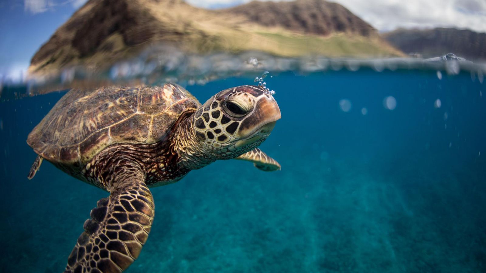 Día de la Biodiversidad: concienciación por la conservación